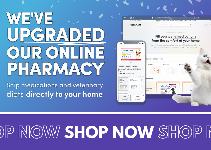 Carousel Slide 2: Browse our new and improved online pet pharmacy!