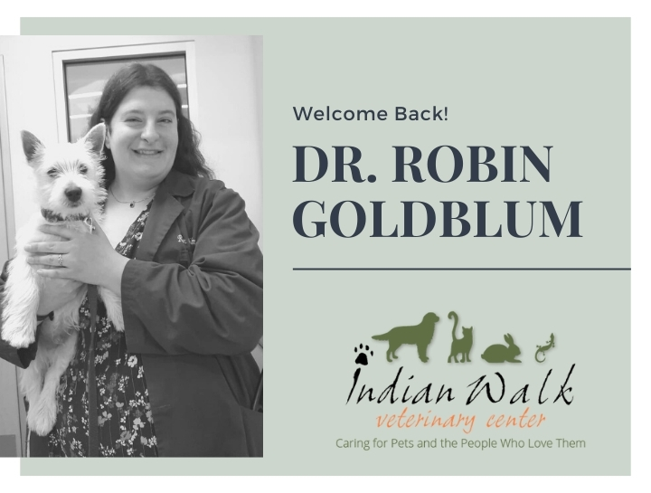 Welcome Back Dr. Robin Goldblum