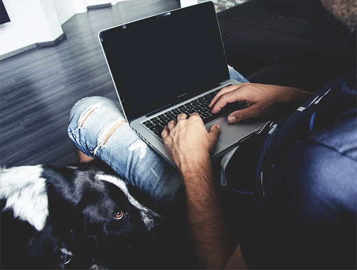Virtual Vet Appointments